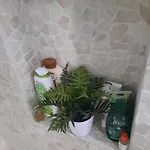 Il Gelsomino 