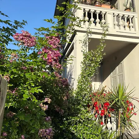 Il Gelsomino 